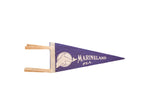 Vintage purple felt Marineland Florida pennant with white dolphin and text, 5x12.