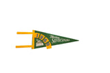 Vintage green felt Florida's Silver Springs pennant, yellow 1969 arch, glass bottom boat, 5