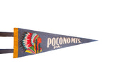 Vintage Pocono Mountains felt pennant showing colorful Native American chief and 