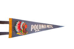 Vintage Pocono Mountains Pennsylvania With Native American Indian Felt Flag Pennant