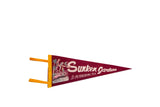 Vintage Sunken Gardens maroon felt pennant with colorful flamingos, parrots, and St. Petersburg text.