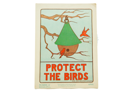 Vintage 1930s Elise Reid Boylston Protect the Birds School Poster // ONH Item 4269