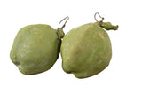 Two rare circa 1930s Mexican folk art clay chayote piggy banks, muted green.