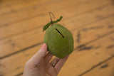 Textured green folk art clay piggy bank with a curled stem and prominent coin slot.