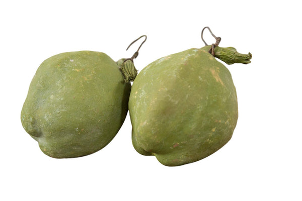 Vintage Mexican Folk Art Clay Chayote Piggy Bank