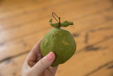 Vintage green clay folk art piggy bank with aged texture and coiled wire stem.