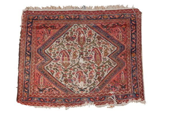 Antique Bag Face Rug Mat