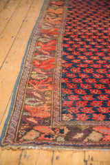 Antique Karabagh carpet border showing rich red floral vines and the indigo field's repeating motifs.