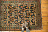Antique Malayer rug: indigo field, raspberry and sky blue tree-shrub motifs, vine borders.