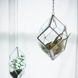 Hanging Beveled Glass and Copper Terrarium, faceted geometric shape with green plants.