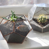 Geometric beveled glass and copper terrariums planted with a succulent and a cactus on a windowsill.