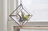 Copper-finished, jewel-shaped glass terrarium hanging with a green air plant.