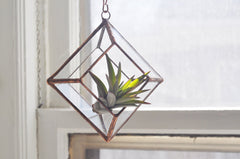 Beveled Glass and Copper Terrarium Kit Made in USA // ONH Item 4428 Image 1