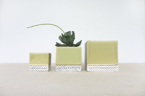 Small Sage and Herringbone Planter