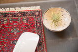 Detailed Bijar Heriz MouseRug pattern on a deep red field with fringed edge.