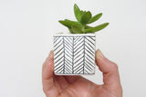 Small minimalist white ceramic planter with black herringbone pattern and green succulent.