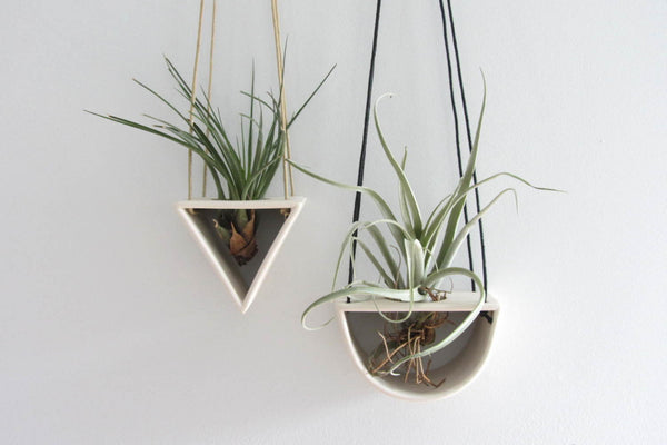 Open Triangle Porcelain Air Plant Hanger