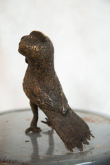Aged copper texture visible on the back and tail of the African bird.