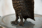 Copper Vintage African Eagle with textured scales and strong talons showing aged patina.