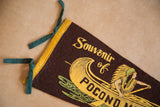 Vintage Pocono felt pennant corner with dark green ties and yellow border.