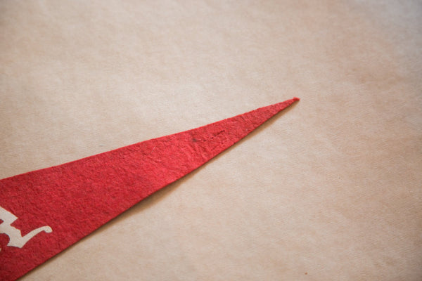 New York Statue of Liberty Felt Flag Banner Pennant