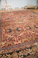 Detail of vintage Mahal carpet's navy border and cherry red field with palmettes and vinery.