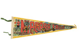 Vintage 1970s Niagara Falls felt pennant with red letters and colorful Canadian imagery.