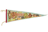Vintage 1970s Bronx Zoo felt pennant, diverse animal illustrations, light blue with red trim.