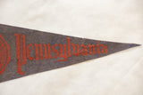 Red Gothic 'Pennsylvania' lettering and felt texture on the vintage university pennant.