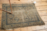 Chi Chi rug border with blue starbursts, meandering vine, and worn edges.