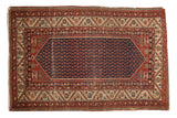 Antique Malayer rug: navy blue field with germinating seed boteh, rust spandrels, serrated border.