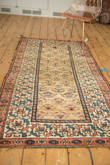 Geometric borders of madder root red and sky blue framing the Kurdish rug's plant motif field.