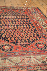 Antique Hamadan rug's European-flavored meandering vine border in madder red and ivory.