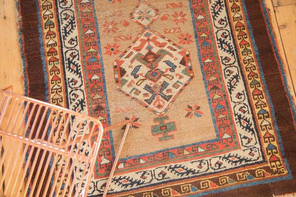 Antique Camel Hair Serab Rug Runner