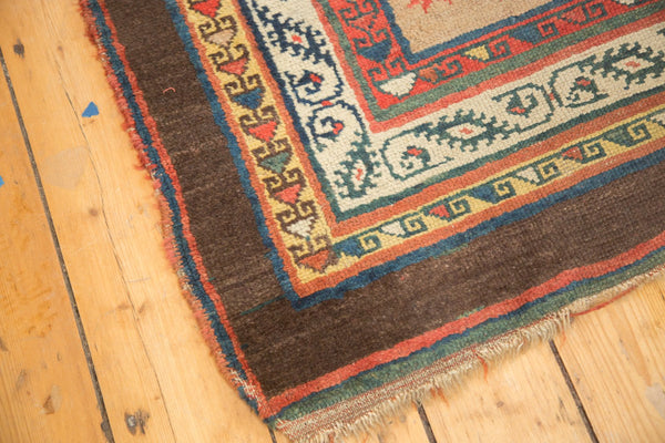 Antique Camel Hair Serab Rug Runner