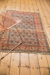 Secured fringe, tangerine border, and paisley motifs of the vintage Doroksh rug.