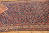 The herati field of a fine Mission Malayer rug shown with its germinating plant border.