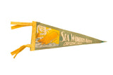 Vintage olive green felt pennant, yellow trim, whale graphic, 'Sea Wonders Alive' title.