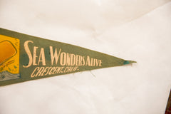 Sea Wonders Alive, Crescent, Calif. Vintage Felt Flag