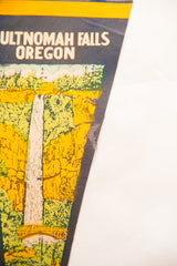 Multnomah Falls, Oregon Vintage Felt Flag