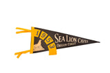 Vintage 1953 Sea Lion Caves Oregon Coast felt pennant, black and yellow, 7x18.