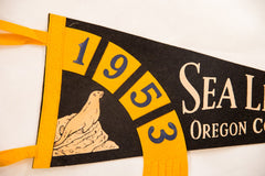 Sea Lion Caves, Oregon Coast Vintage Felt Flag