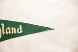 Disneyland felt pennant's dark green tip with gold 'land' lettering, showing fraying.
