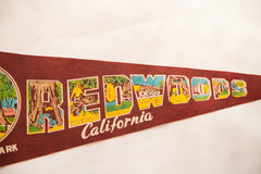 Redwoods California Tree House Park Vintage Felt Flag