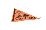 Vintage orange felt pennant with black 