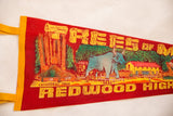 Red felt pennant showing Babe the Bull, a yellow building, and green trees.