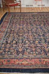 Vintage Bibikabad rug's wide banded outer border with raspberry red, indigo, and turtle motifs.