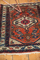 Vintage Engelas rug's lightly tattered fringe and intricate navy and ivory bird border.
