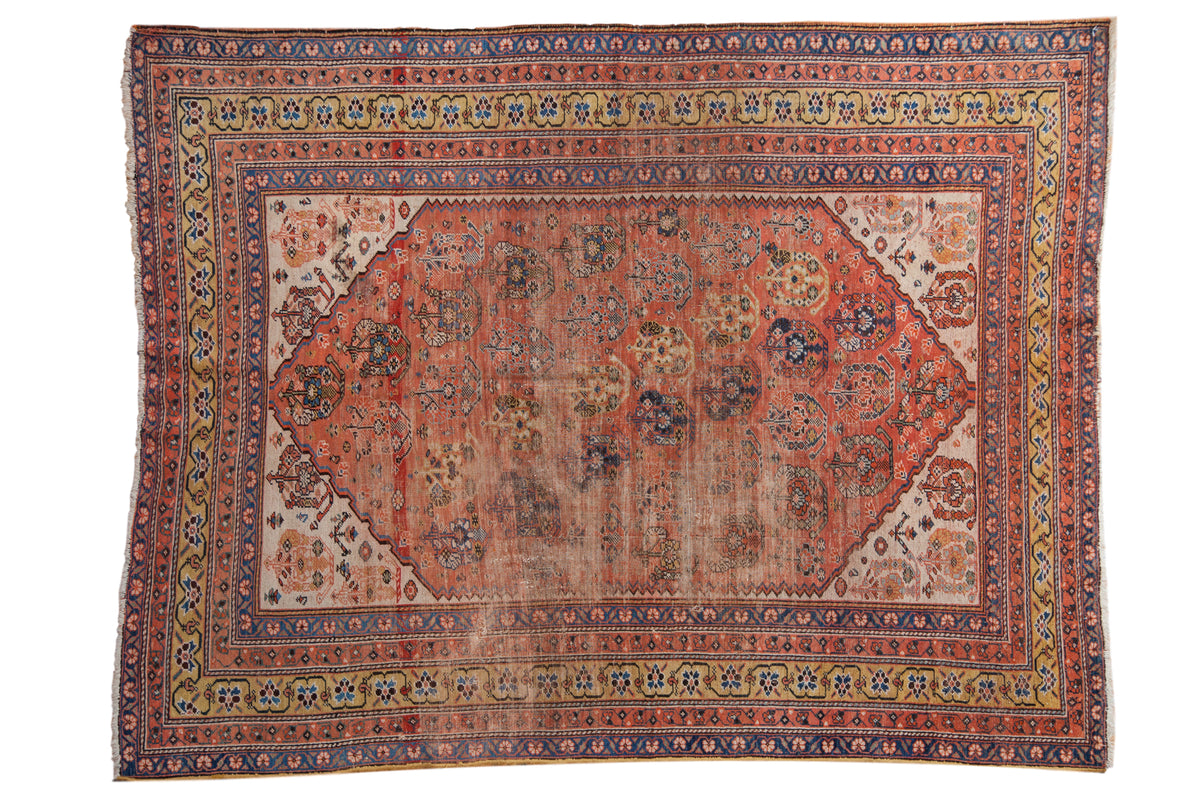 Antique Qashqai rug with rich terra cotta, allover shadow boteh motif, saffron gold border.