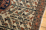 Vintage Afshar rug detail: ivory field, tree of life, perched birds, and ornate terracotta border.